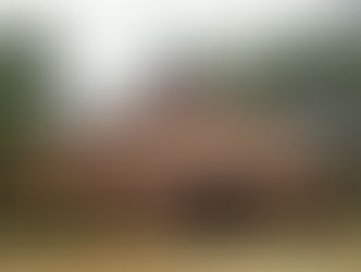 L'aventure amazonienne 2, Le retour !