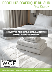 Hotelerie: presentation commerciale.png