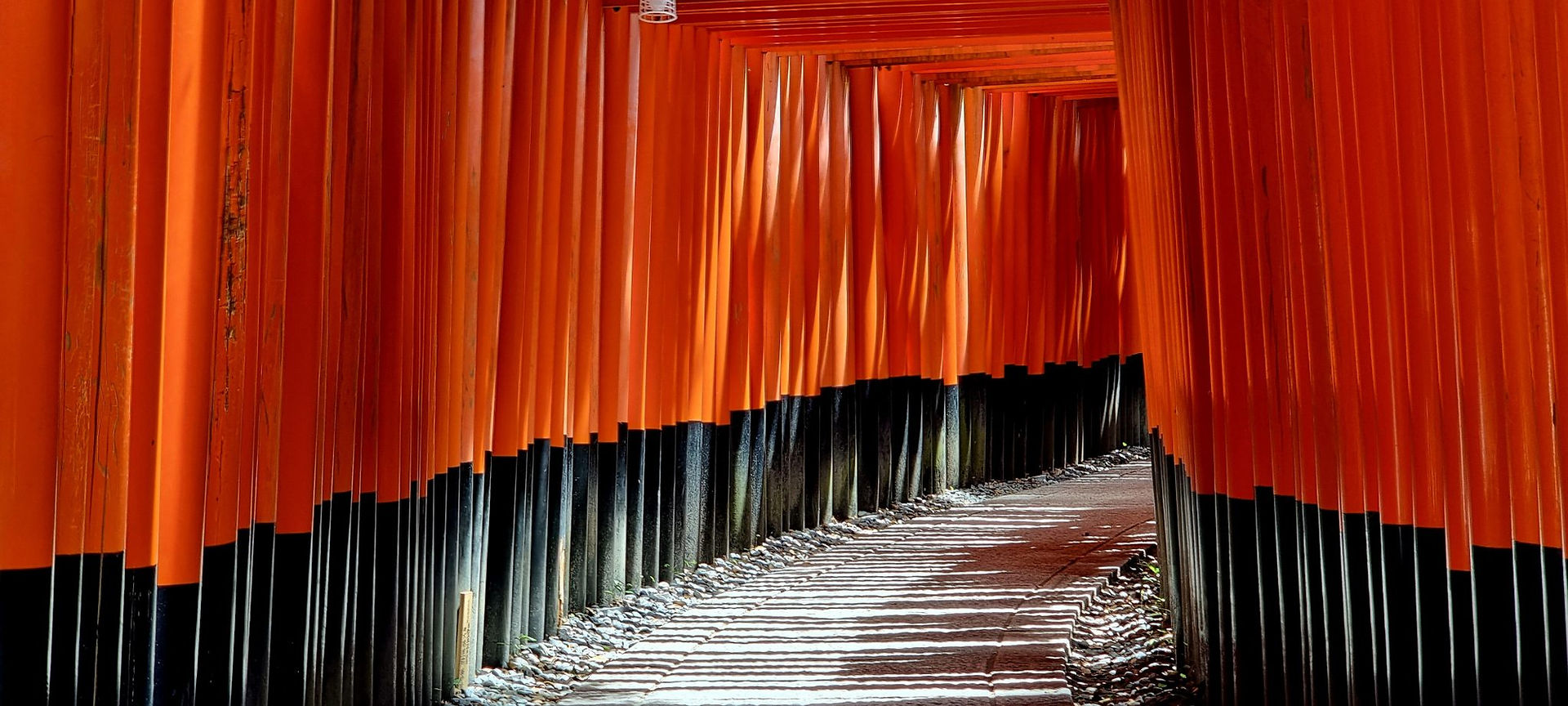 Japan Tori Gates