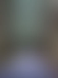 Japan in Focus – Across The Isle