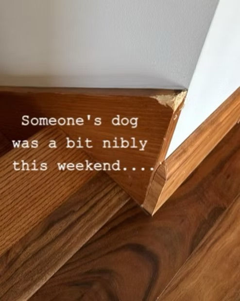 Airbnb Maintenance Problems