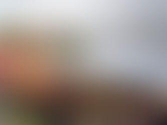 Putting Your Best Foot Forward