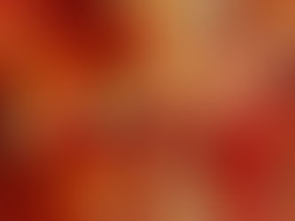 Trying to Find Order