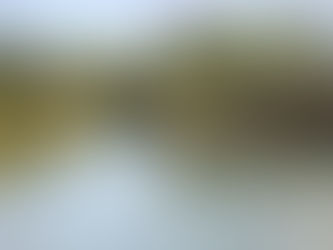 How Long Does It Take to Create a Painting?