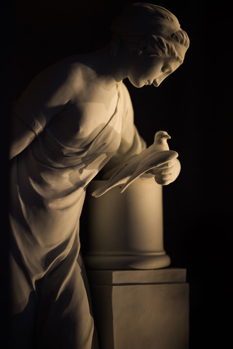 Professional Headshots
Saint Augustine Professional Photography
Saint Augustine Professional  Photographer
St Augustine Professional  Photography
St Augustine Professional Photographer
Saint Augustine Photography
Saint Augustine Photographer
St Augustine Photography
St Augustine Photographer
Saint Augustine Wedding Photography
Saint Augustine Wedding Photographer
St Augustine Wedding Photography
St Augustine Wedding Photographer 
Commercial Photography 
Commercial Photographer
Wedding Photography
Wedding Photographer
Photographer Photography
Event Photography
Event Photographer 
Portrait Photography Portrait Photographer
Real Estate Photographer Real Estate Photography Product Photography Product Photographer
Family Photography
Family Photographer
Editorial Photography Editorial Photographer
Artwork Photography
Artwork Photographer
Engagement Photography
Engagement Photographer