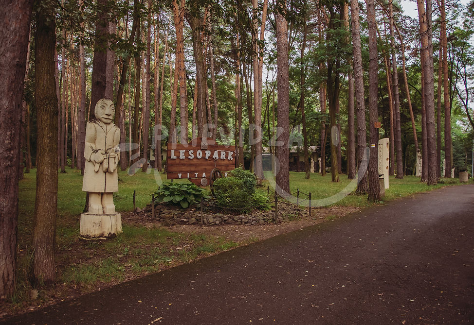 Lesný park