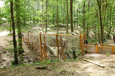 lesopark hlboke teambuilding v bojniciach.jpg