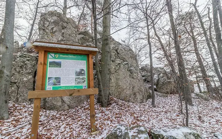 Hájska skala (640 m.n.m.)