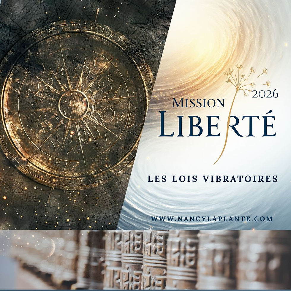 Mission Liberté - Programme 12 mois