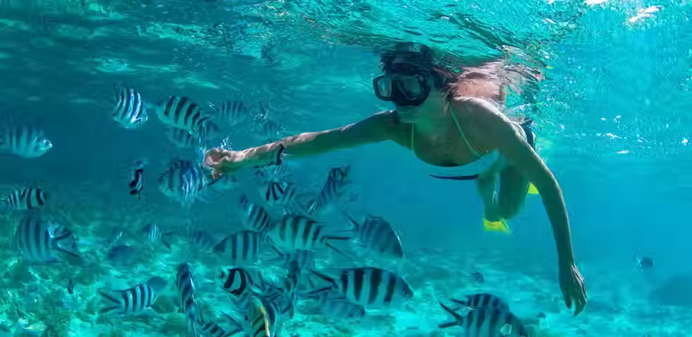snorkel punta cana