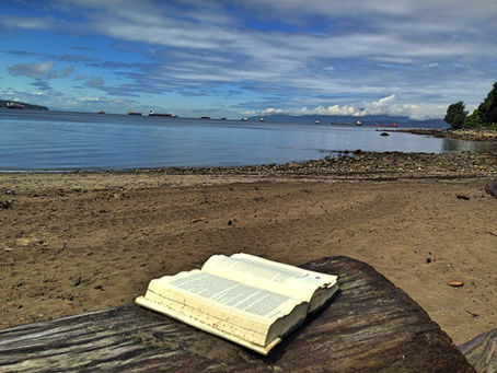 Beach Reading