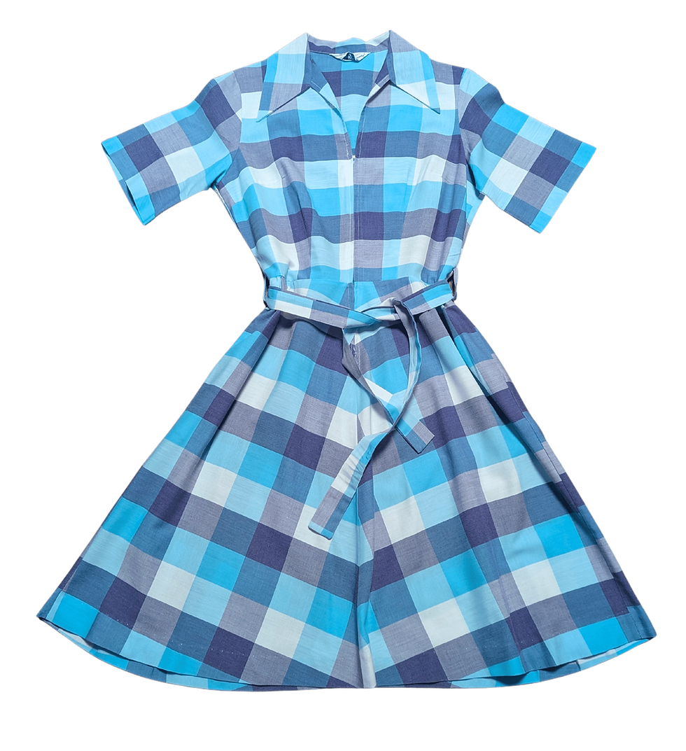 Vintage Dress | 1960s Gingham Dress | Vintage Clothing | Fashion History