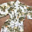 Thumbnail: Mid Century Kimono | Vintage Kimono | Unique Clothing | 1950s Fashion