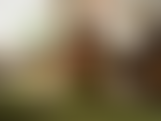 Woman in retro 60s living room with bold colors