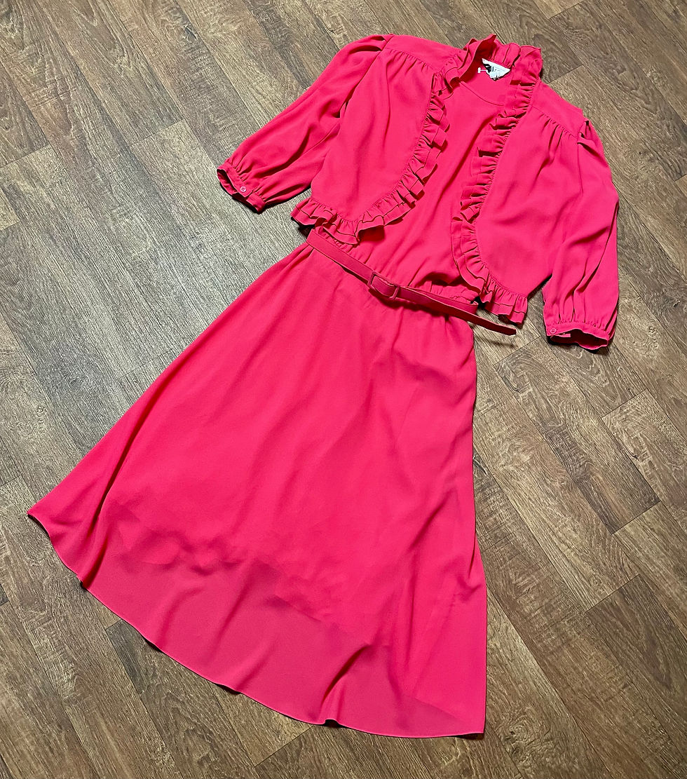 Vintage Dress | 1970s Parigi Dress | Vintage Clothing | Fashion History