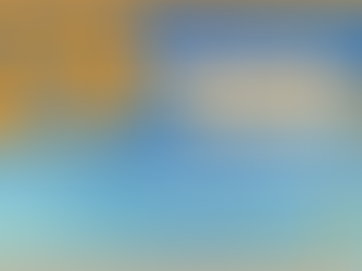 29 Congreso Nacional de Medicina Perinatal de la SEGO