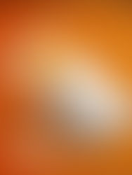 Filo App