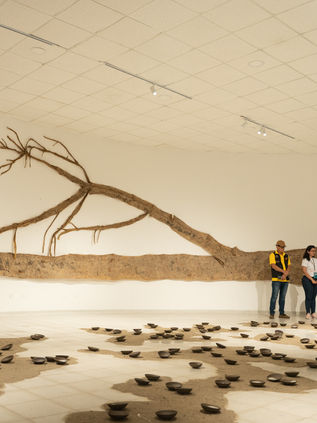 Se inauguró el 46 Salón Nacional de Artistas