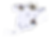 Untitled-1.png