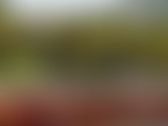 Help Us Lift Every Student Athlete & Activity -- Free Snacks & Drinks, too!