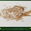 Thumbnail: Medium Self Sorting Custom Mealworm Breeding Unit