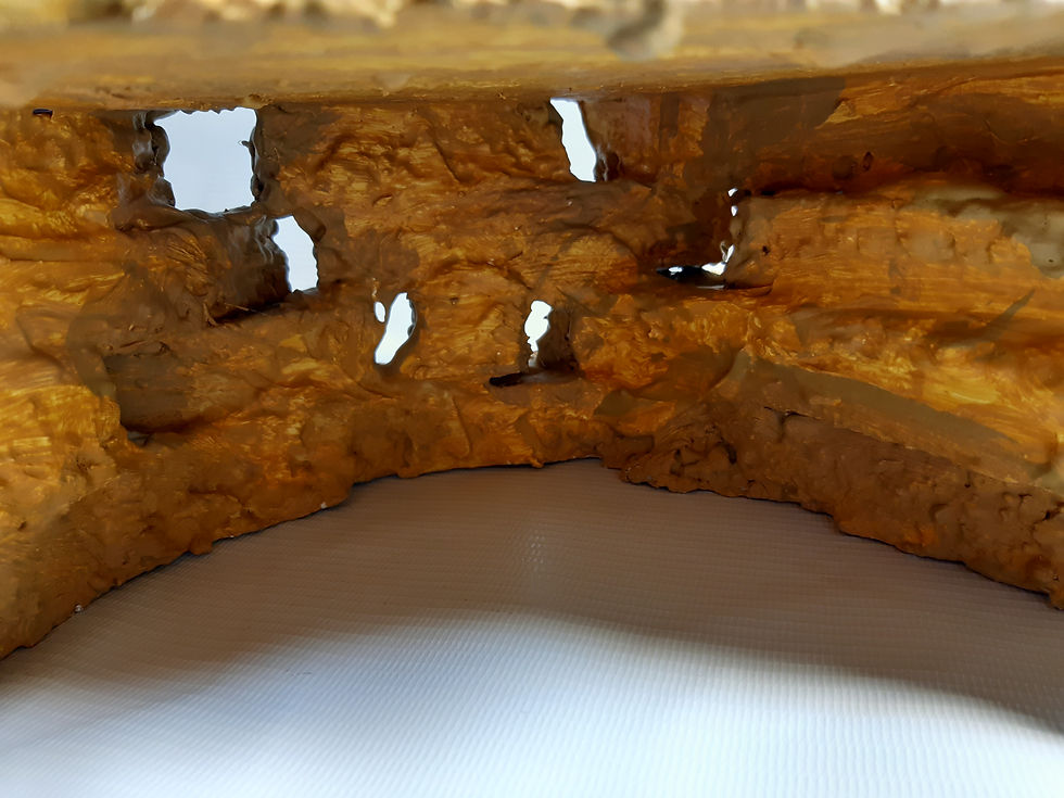 Thumbnail: Custom Reptile Hide