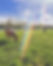 7677109C-00D2-4904-874E-CD65662BE461_edited_edited_edited_edited.jpg