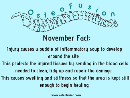 OsteoPost: November Fact