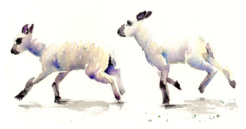 Signed, Limited Edition Print Full of the Joys