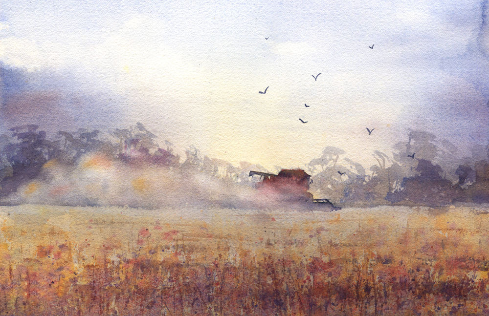 Signed, Limited Edition Print Late Harvest