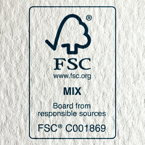 Thumbnail: Christmas Robin