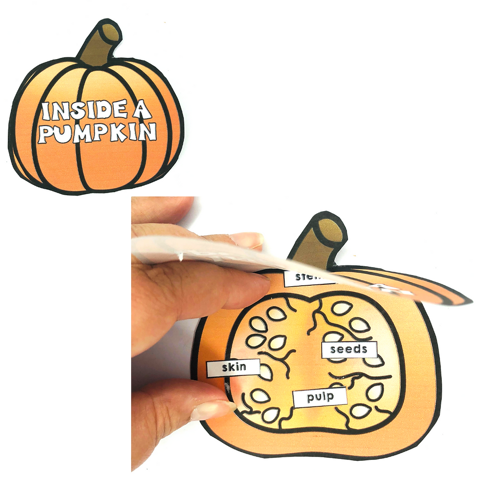 Thumbnail: Pumpkin Life Cycle Activities