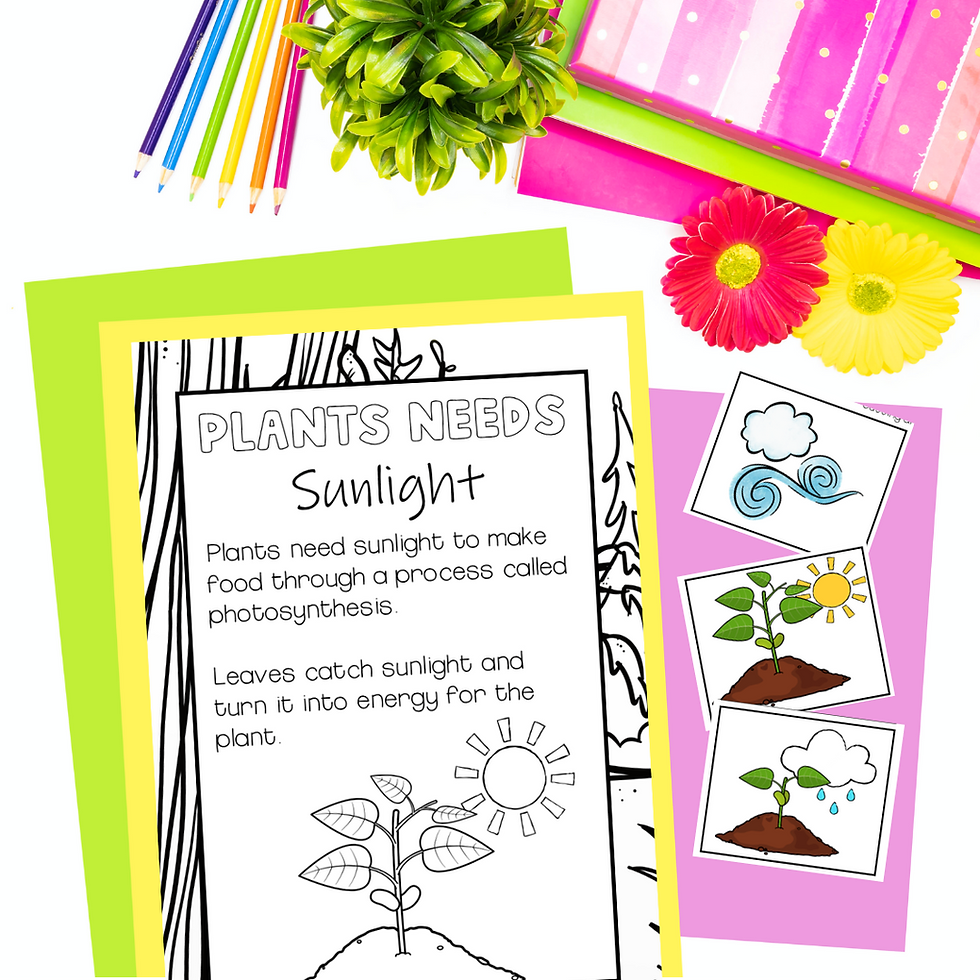 Thumbnail: Living Things Needs Kindergarten and First Grade Worksheets and Activities