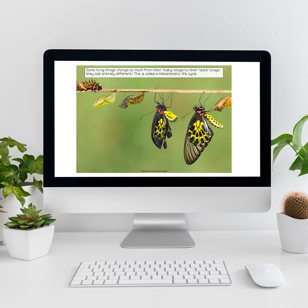 Thumbnail: Year 3 Biological Sciences Australian Curriculum 9.0