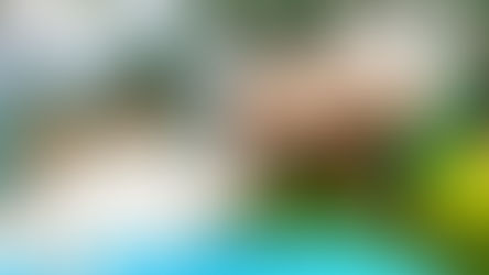 The Very Hungry Bear | Lessons Activities Story Retell Comprehension Writing