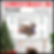 Christmas in Poland PowerPoint Holidays Around the World