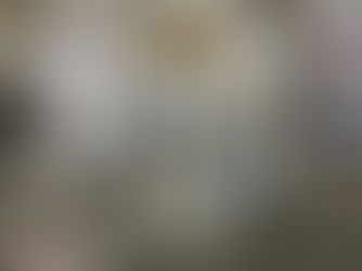 Salão do Expositor com número recorde de empresas destaca diversidade e inovação na Jornada Técnica do Setor Alimentício