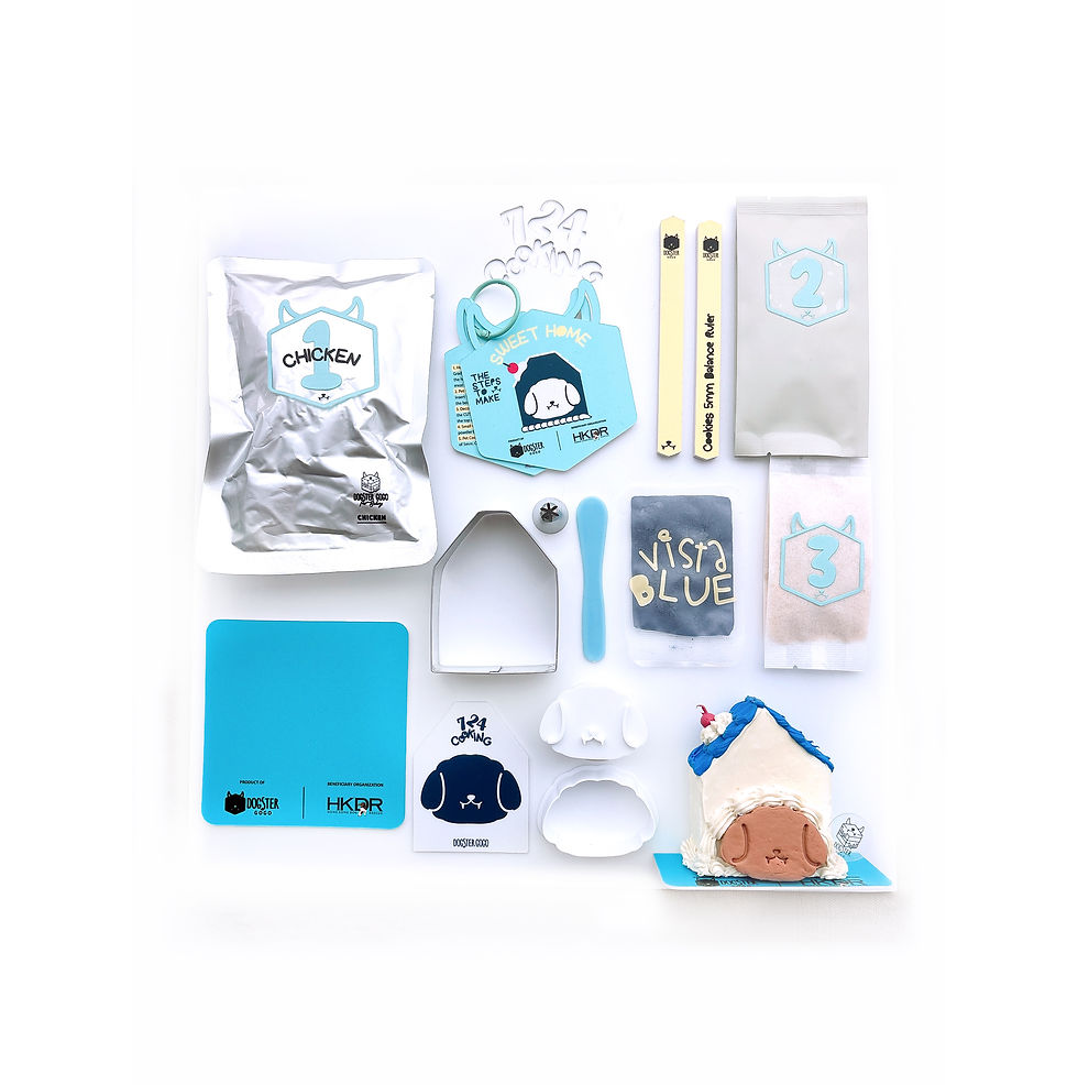 縮圖：Dogster × HKDR Home Sweet Home DIY CAKE MYSTERY Box For Dogs