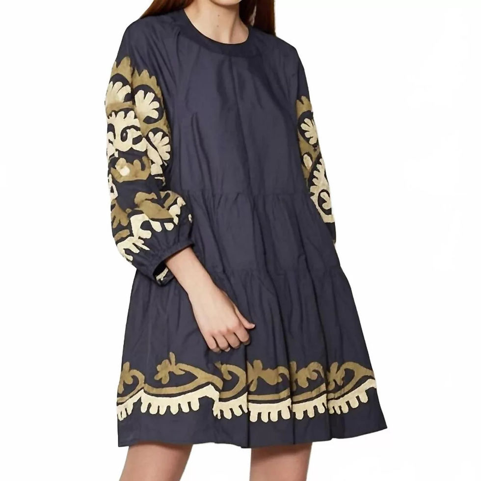 Something Navy Embroidered Tiered Mini Dress in Black Combo