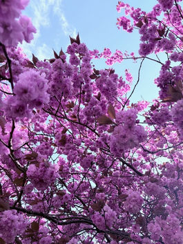May's Monthly Wellness