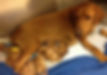 IMG_1953.jpeg