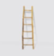 Bamboo Ladder
