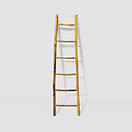 Bamboo Ladder