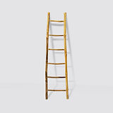 Bamboo Ladder