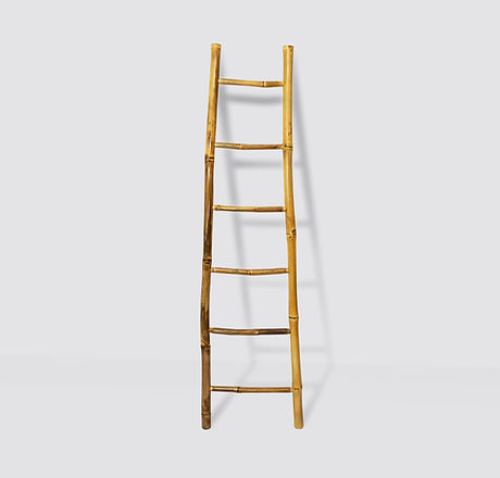 Bamboo Ladder