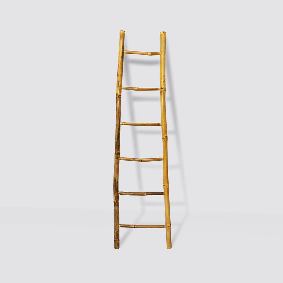 The Ladder