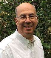 Leaping Lizards Book Cover.jpg