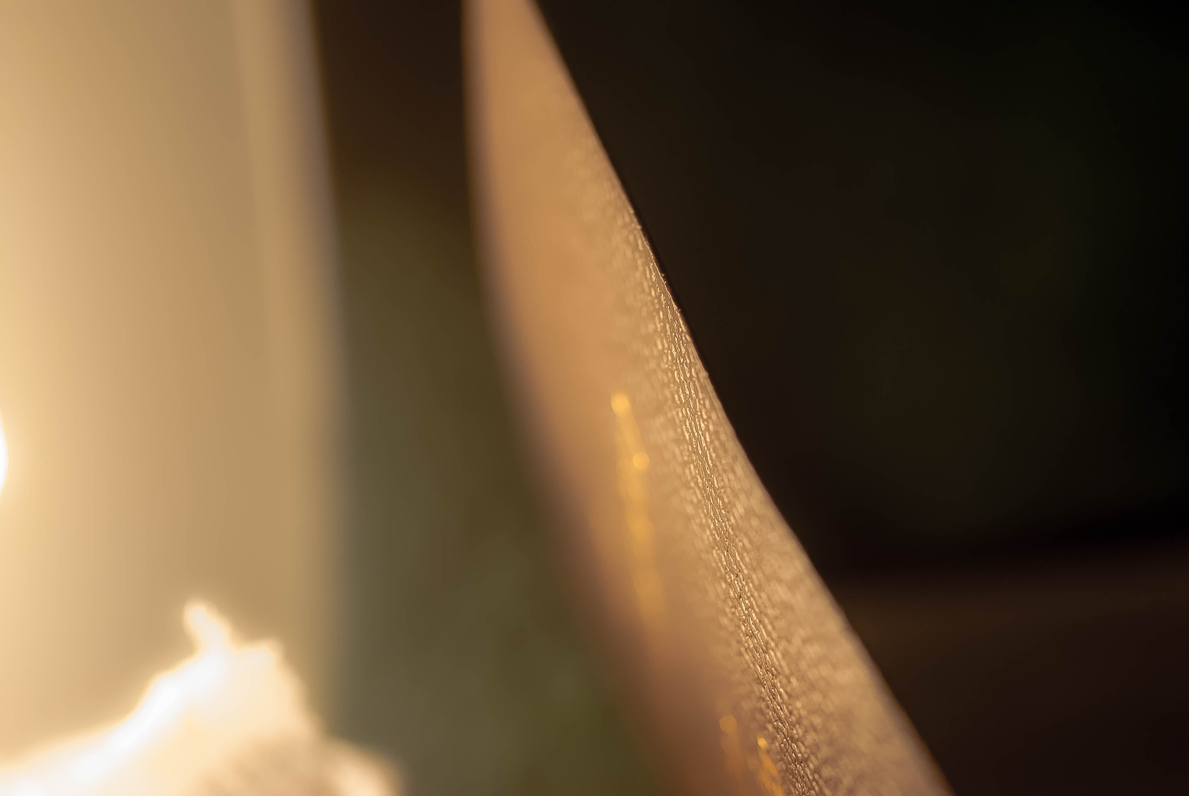 Light