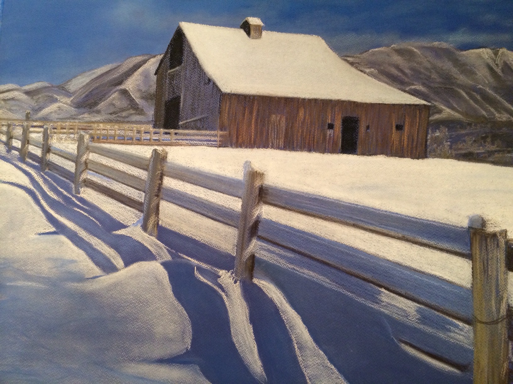 Snowy Shadow