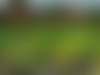 Production II Blog Post #5